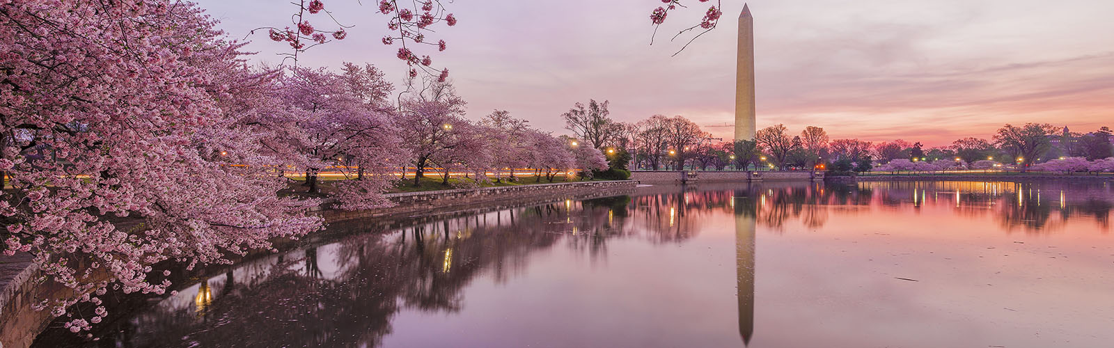 In-bloom cherry blossom trees lining a pool of water, with the Washington Monument in the background and reflected on the water.